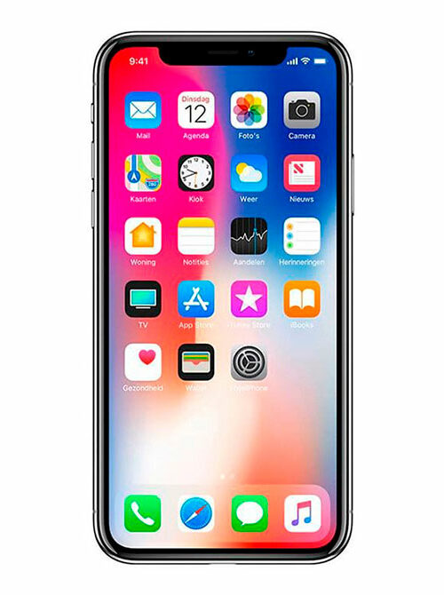 iPhone X